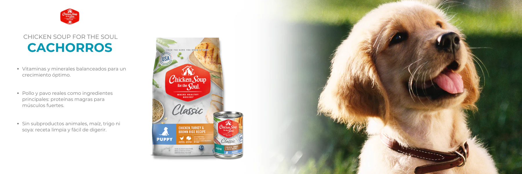 Cuidado excepcional para tu mascota